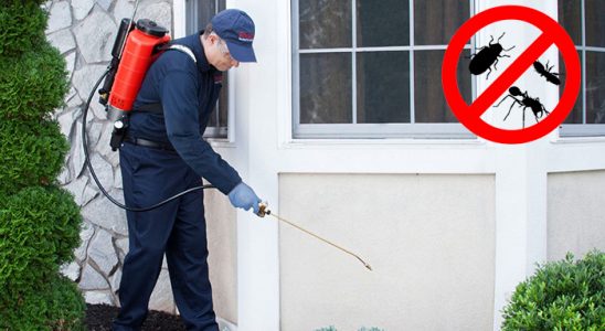 Otlukbeli Dezenfeksiyon böcek ilaçlama ve haşere kontrolü — ilaclama-tr.com